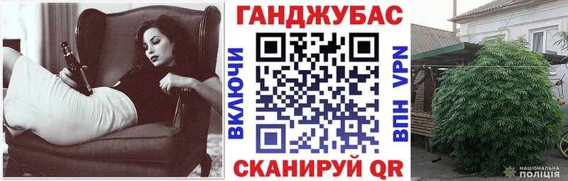 Купить закладки  Ясногорск  Конопля индика 